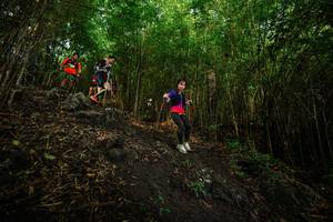 BIB: 
                            <button type="button" onclick="openModal(25098918)" class="btn btn-primary btn-sm float-right btn-popup" data-toggle="modal" data-target=".modal-high-quality">
                        <i class="fas fa-shopping-cart"></i> Add to Cart
                    </button>
                                            <button type="button" onclick="isThisMe(25098918, true)" class="btn btn-success btn-sm float-right btn-popup btn-isme hidden" data-toggle="tooltip" data-placement="bottom" title="นี่คือรูปของคุณใช่ไหม คลิกที่นี่เพื่อเอาเข้าอัลบั้ม">
                        <i class="fas fa-plus"></i> Add to album
                    </button>
                    <button type="button" onclick="isThisMe(25098918, false)" class="btn btn-warning btn-sm float-right btn-popup btn-isnotme hidden">
                        <i class="fas fa-ban"></i> Remove from album
                    </button>